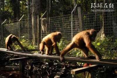 点此在新窗口浏览图片