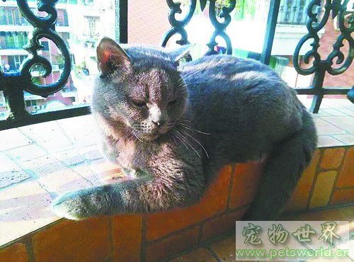 点此在新窗口浏览图片