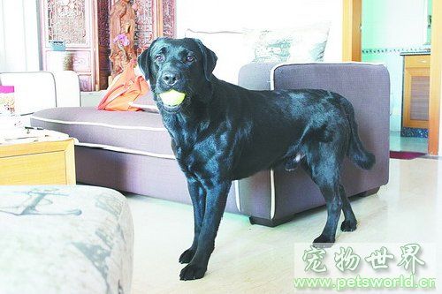 点此在新窗口浏览图片