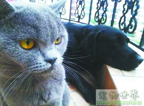 点此在新窗口浏览图片