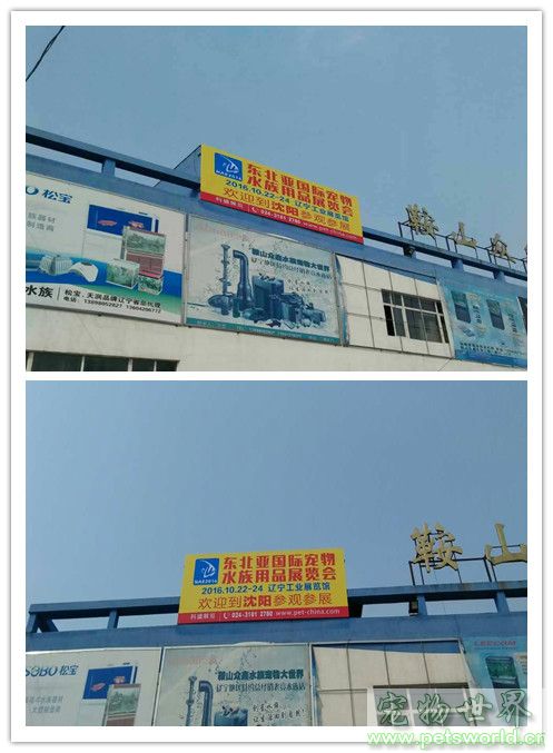 点此在新窗口浏览图片