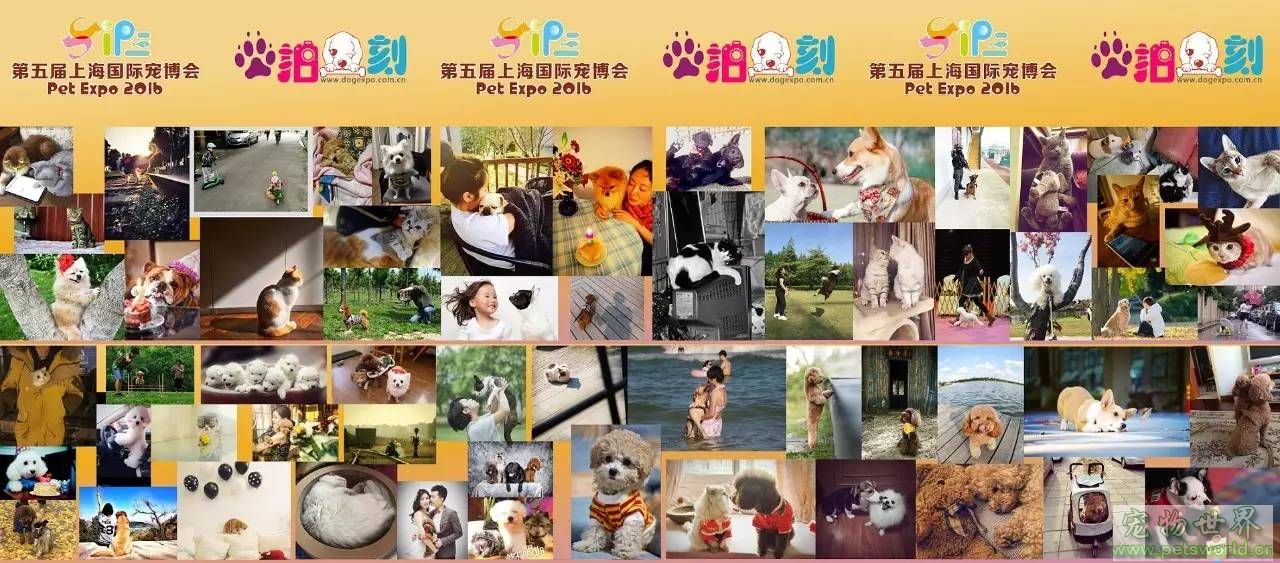 点此在新窗口浏览图片