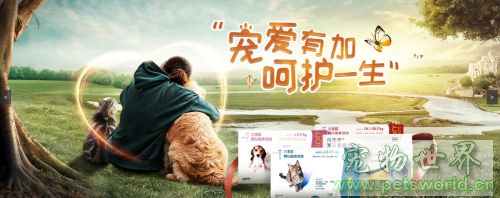 点此在新窗口浏览图片