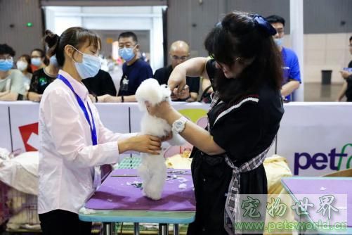 点此在新窗口浏览图片