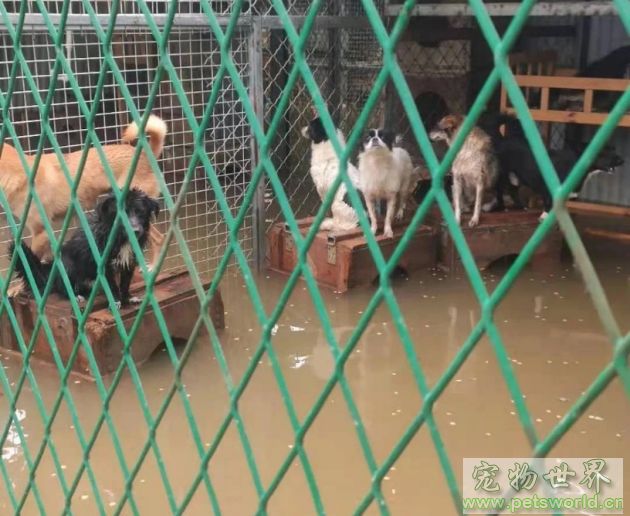 点此在新窗口浏览图片