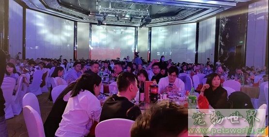 点此在新窗口浏览图片