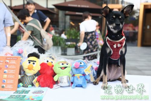 点此在新窗口浏览图片