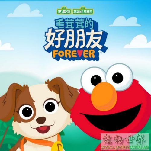 点此在新窗口浏览图片