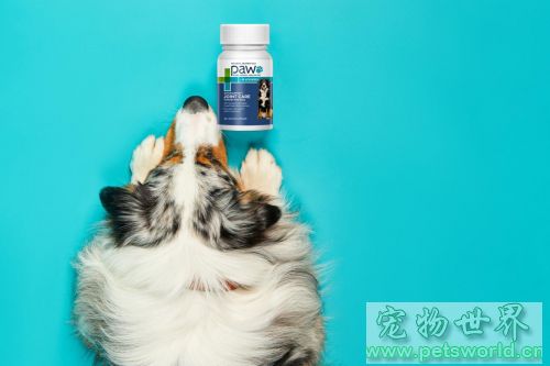 点此在新窗口浏览图片