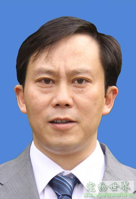 点此在新窗口浏览图片