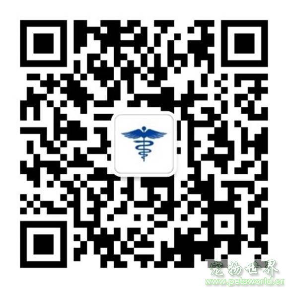 点此在新窗口浏览图片