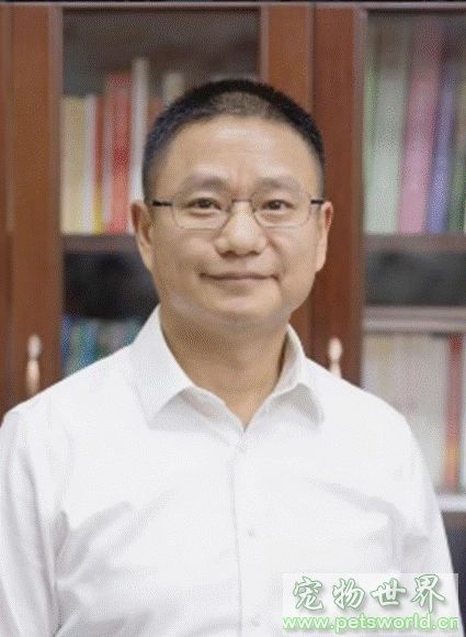 点此在新窗口浏览图片