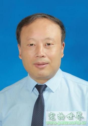 点此在新窗口浏览图片