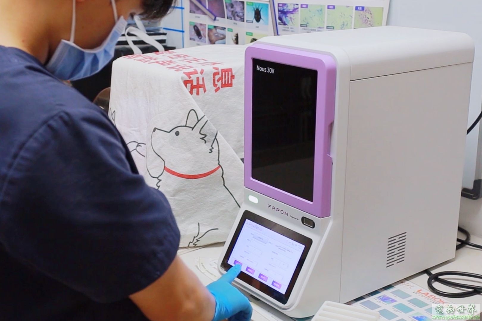 点此在新窗口浏览图片