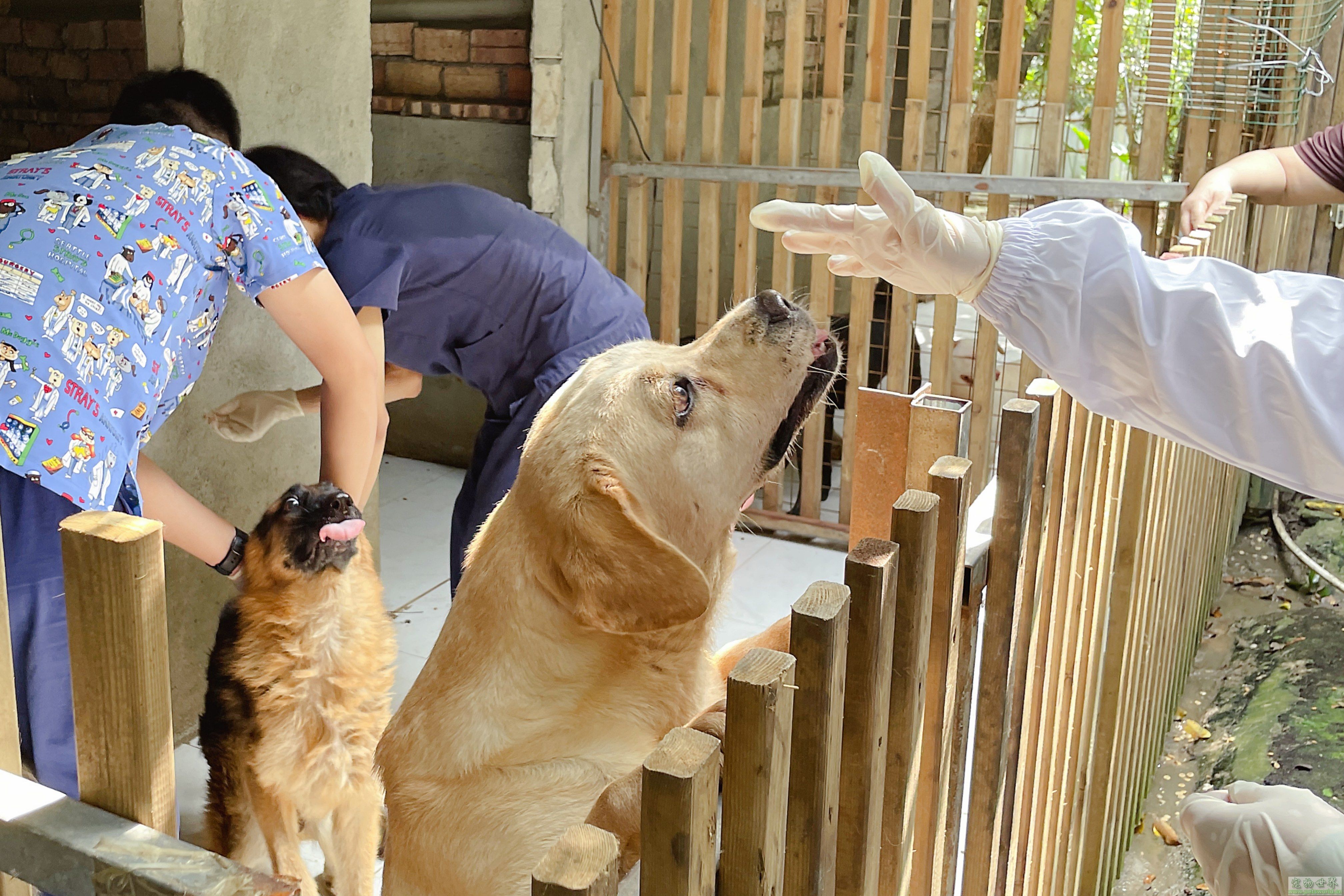 点此在新窗口浏览图片