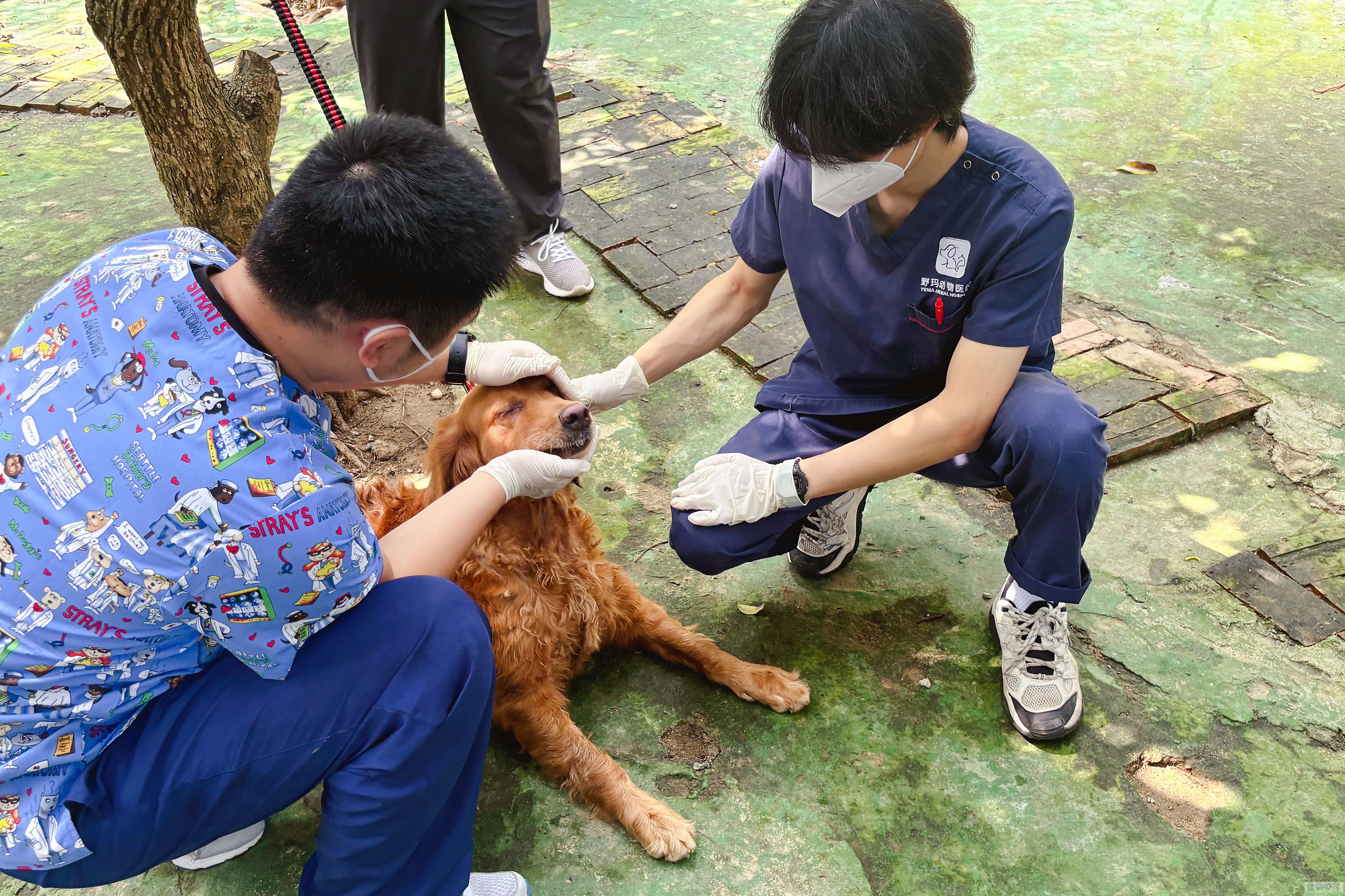 点此在新窗口浏览图片