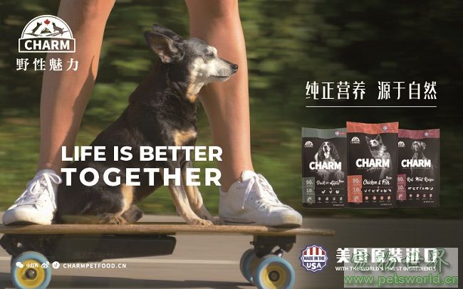 点此在新窗口浏览图片