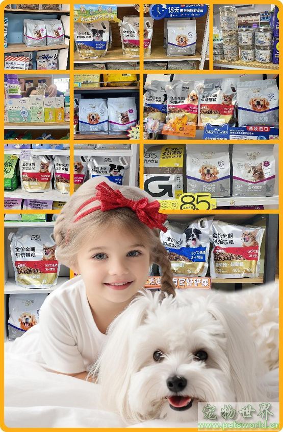 点此在新窗口浏览图片