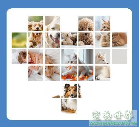 点此在新窗口浏览图片