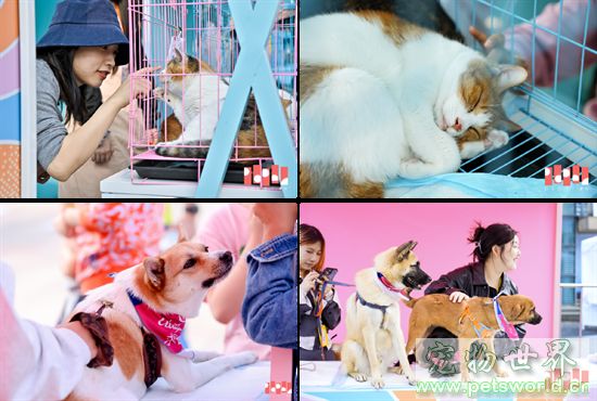 点此在新窗口浏览图片