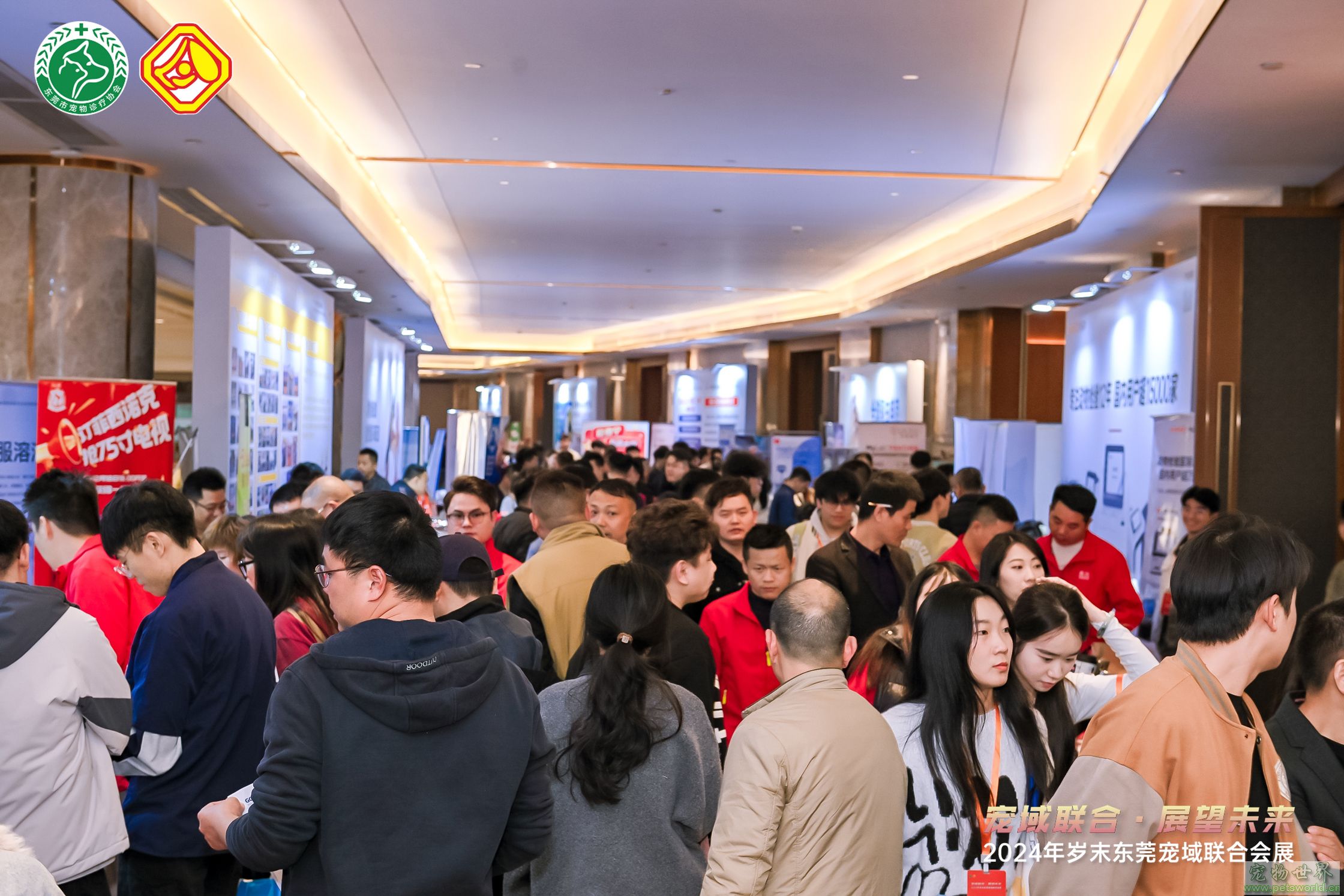 点此在新窗口浏览图片