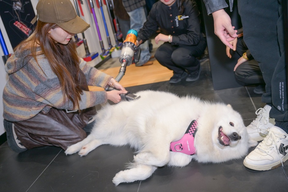 点此在新窗口浏览图片