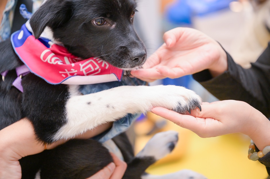 点此在新窗口浏览图片