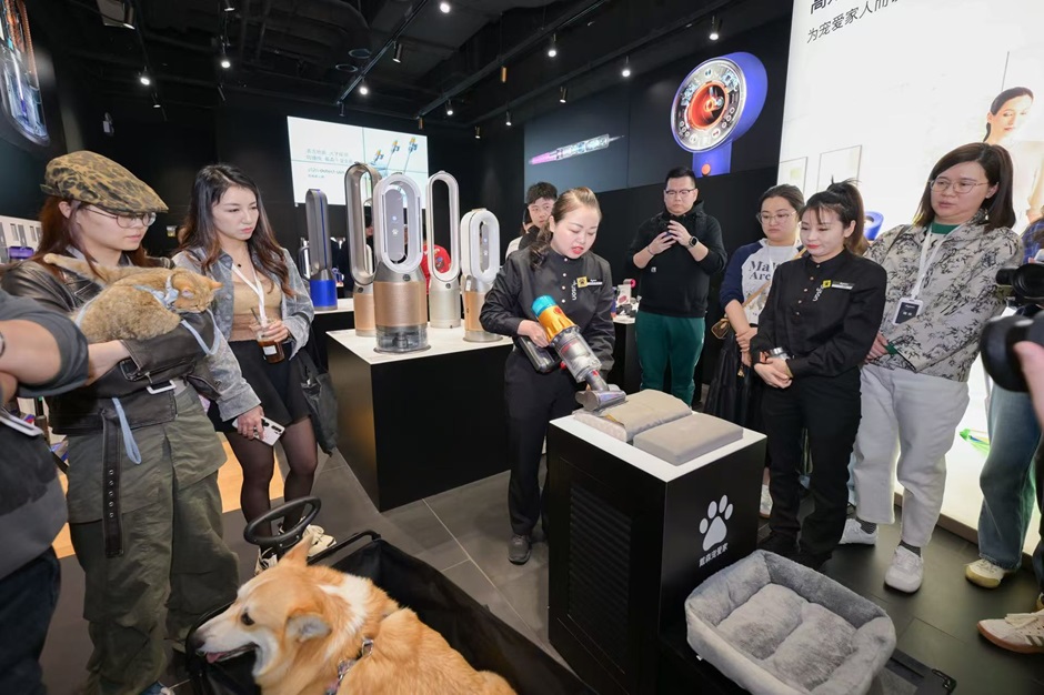 点此在新窗口浏览图片