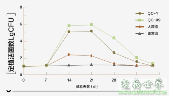 点此在新窗口浏览图片