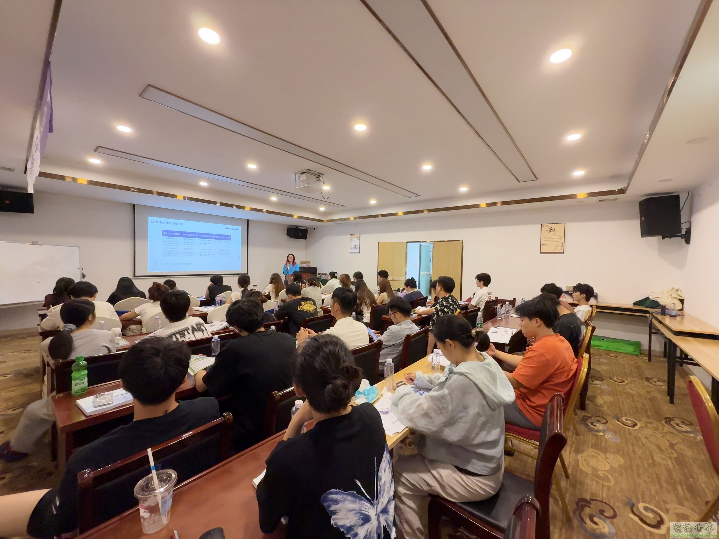 点此在新窗口浏览图片