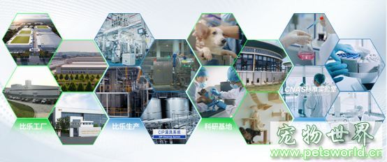 点此在新窗口浏览图片