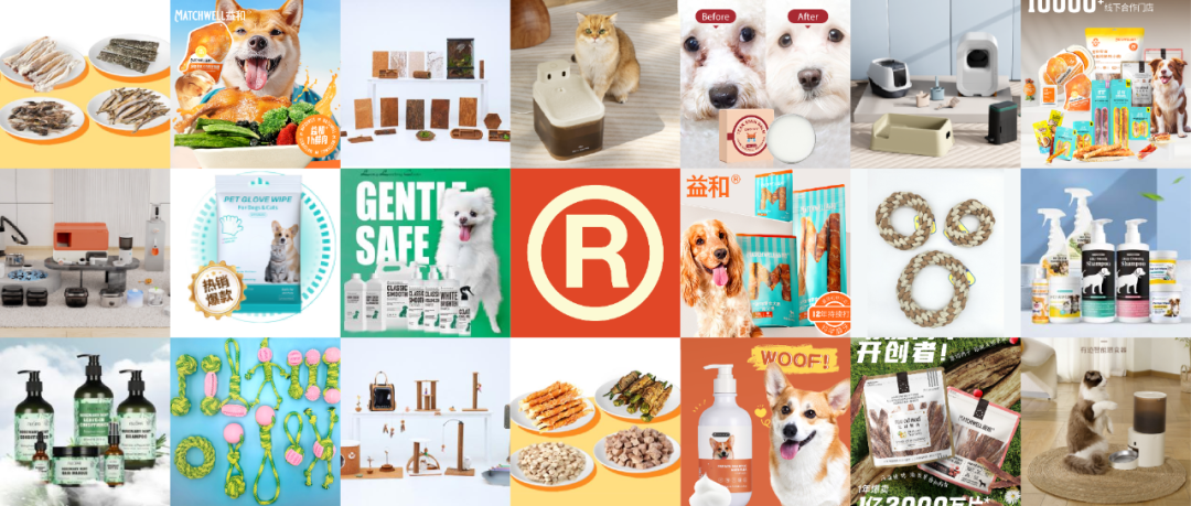 点此在新窗口浏览图片