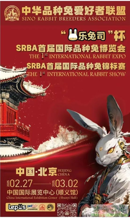 点此在新窗口浏览图片