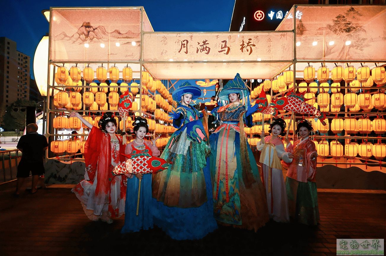 点此在新窗口浏览图片