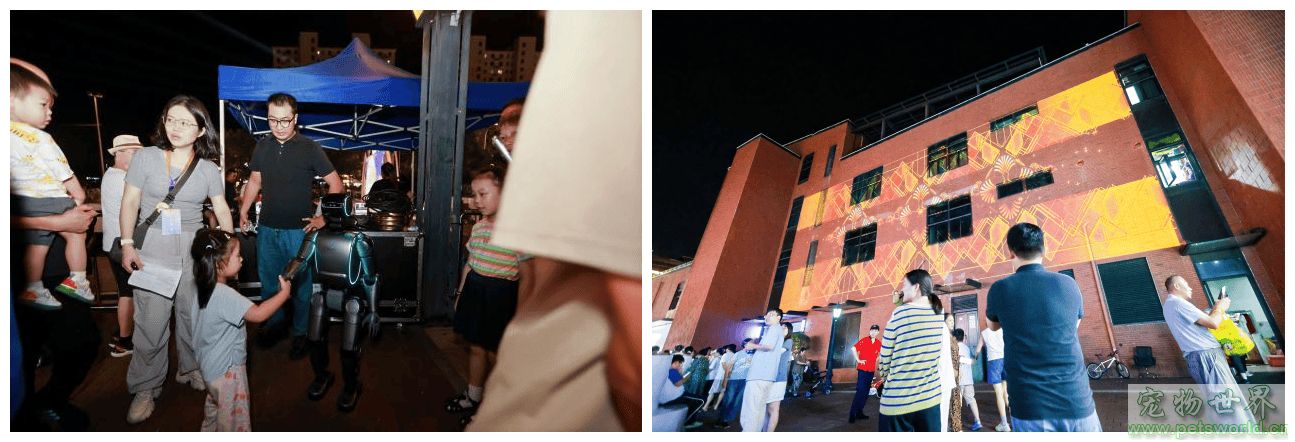 点此在新窗口浏览图片