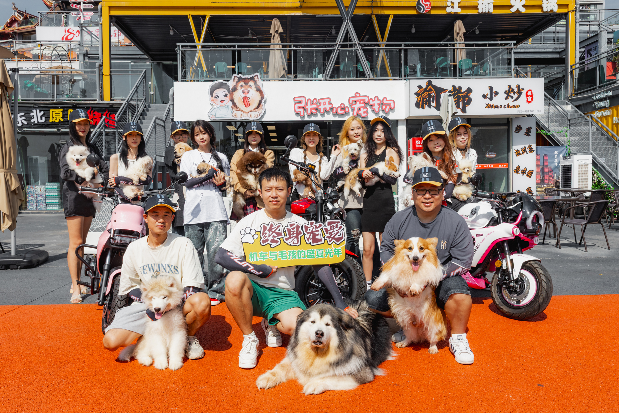 点此在新窗口浏览图片