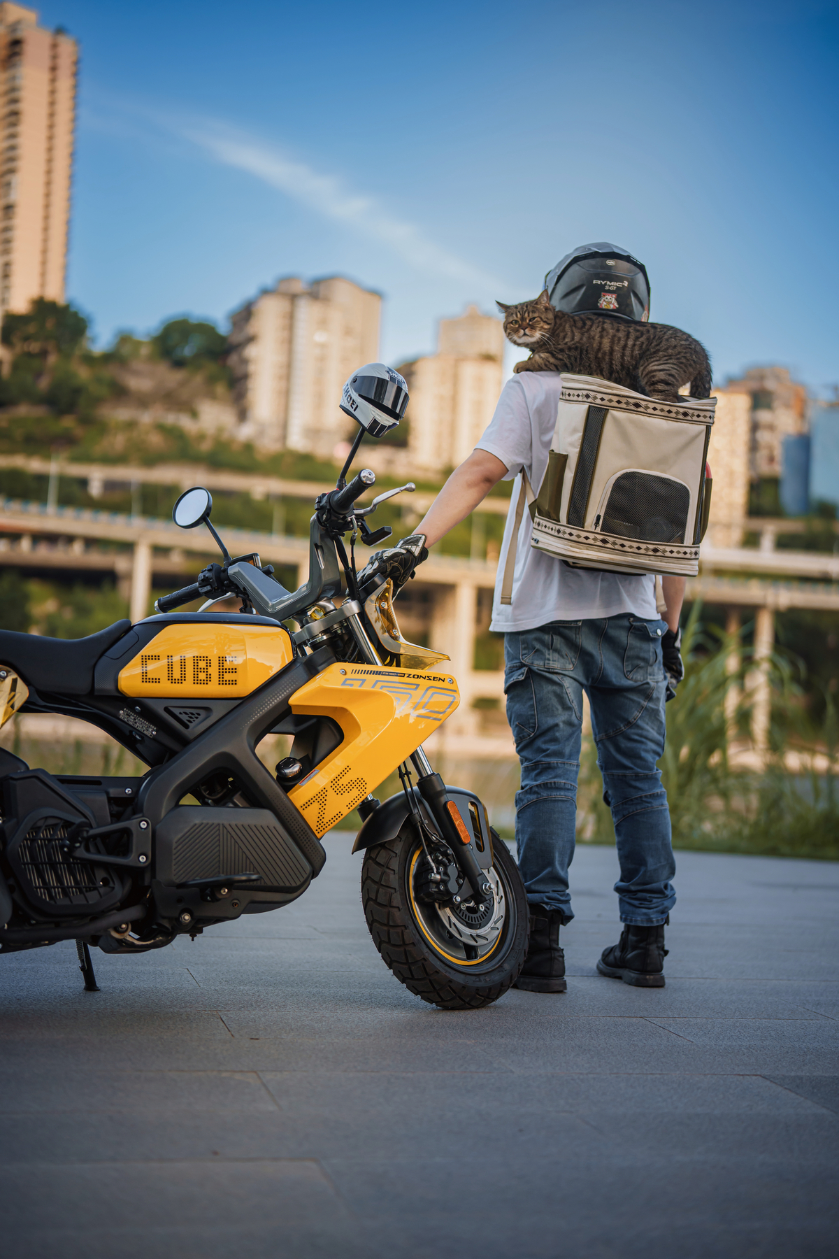 点此在新窗口浏览图片