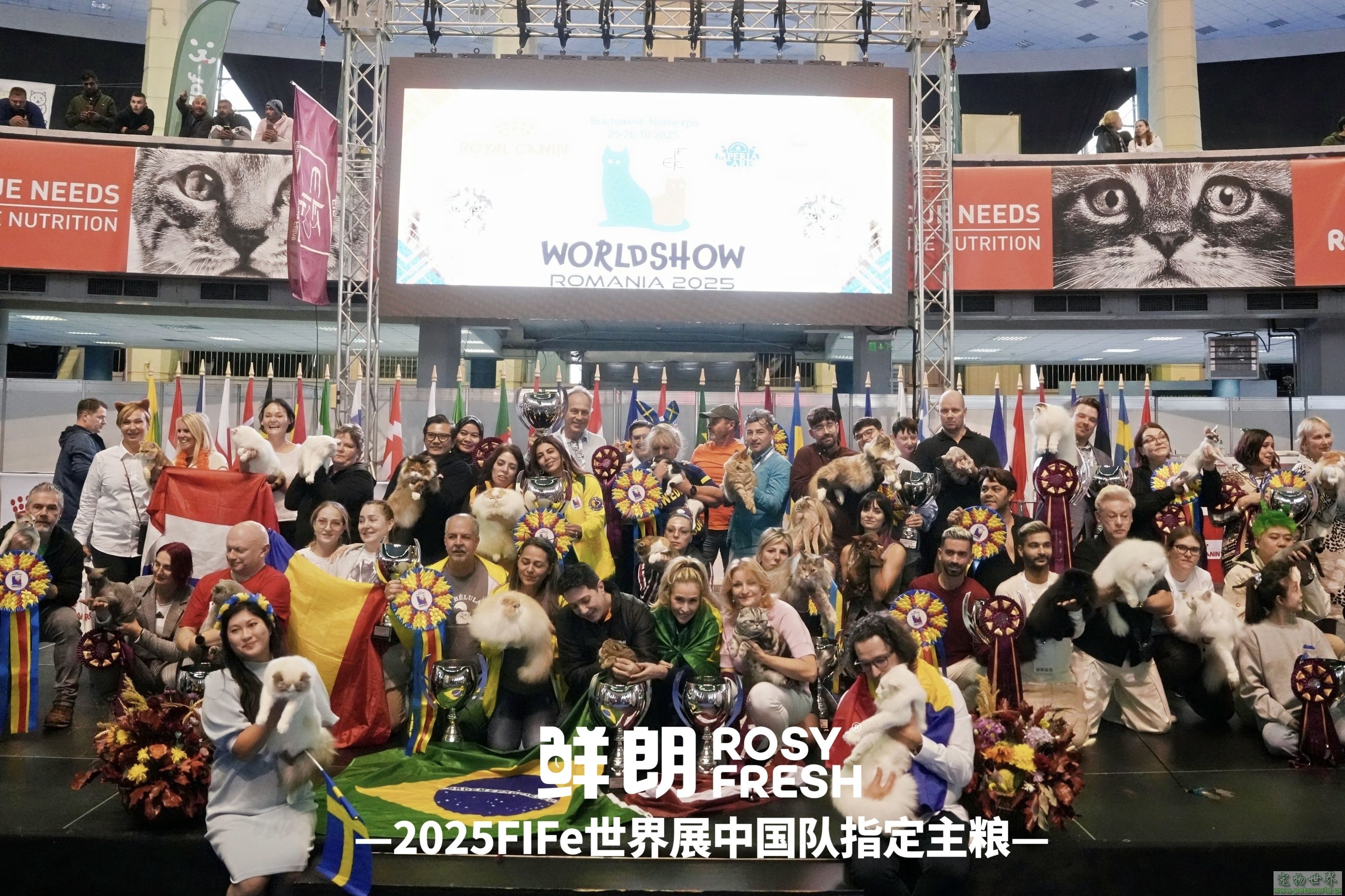 点此在新窗口浏览图片