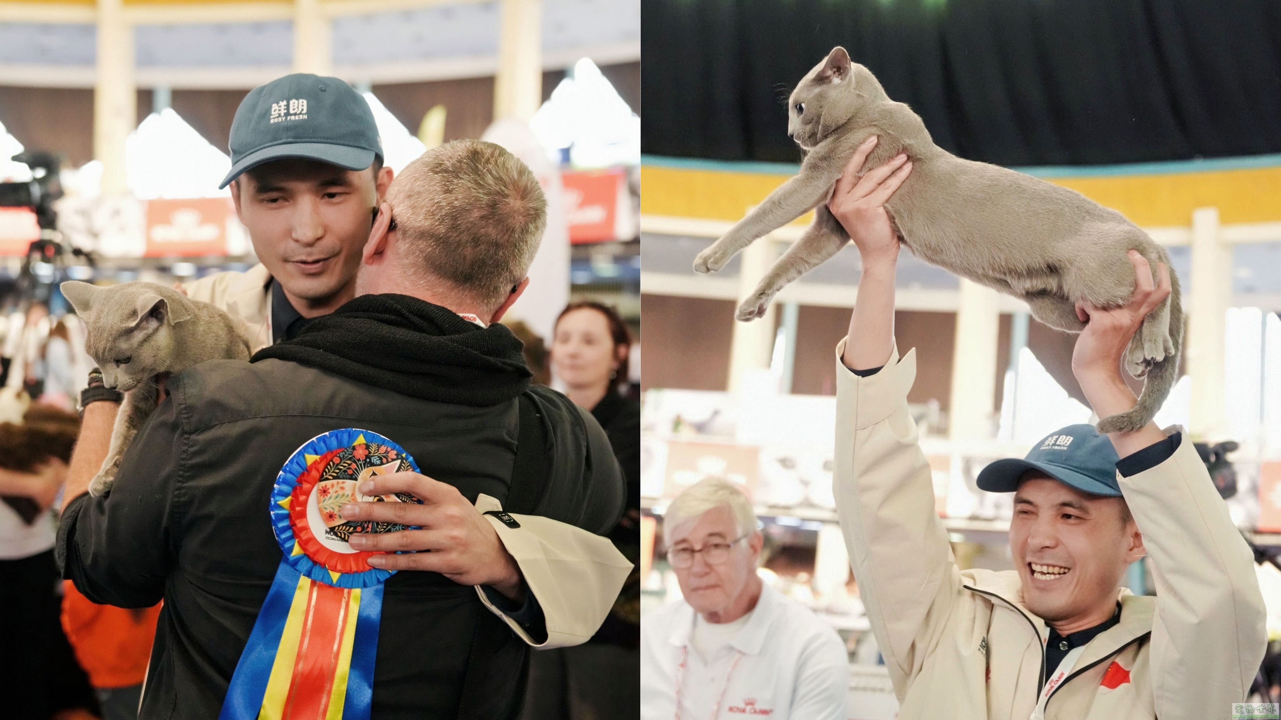 点此在新窗口浏览图片