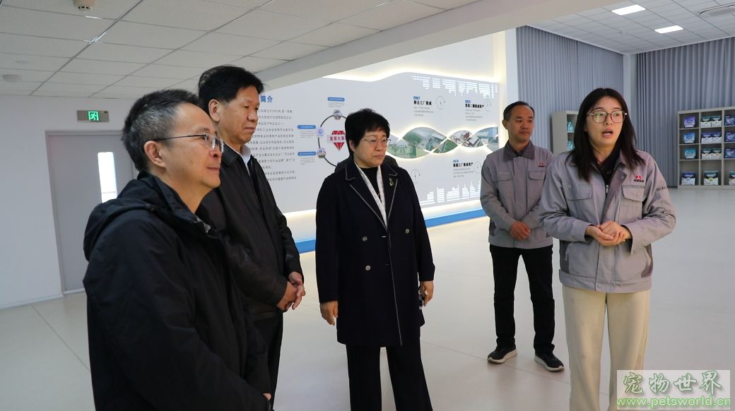 点此在新窗口浏览图片