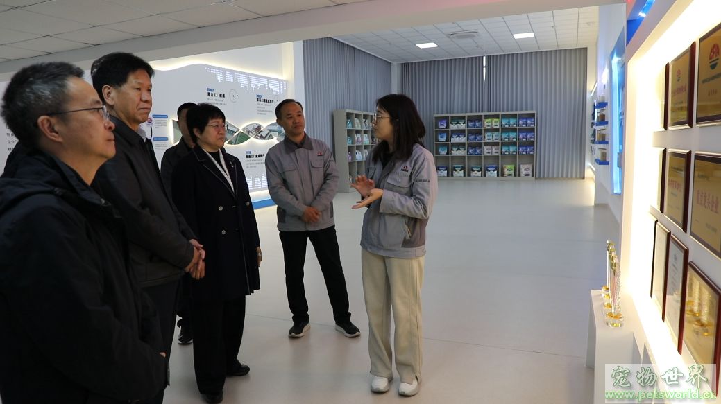 点此在新窗口浏览图片