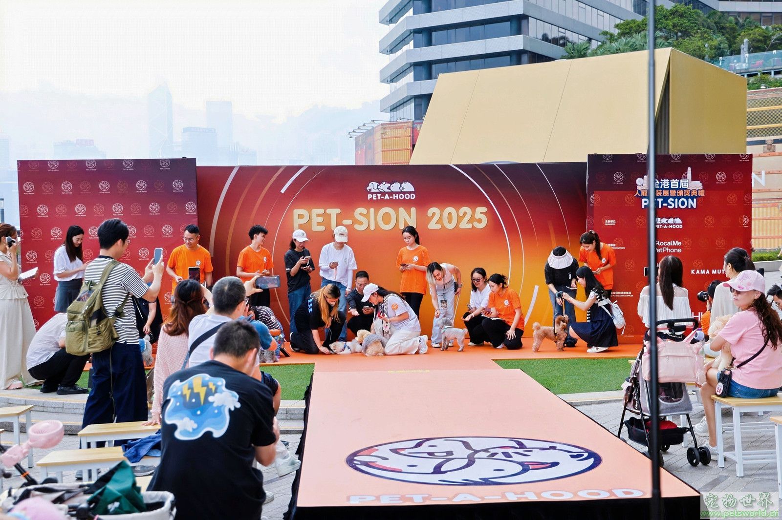 点此在新窗口浏览图片