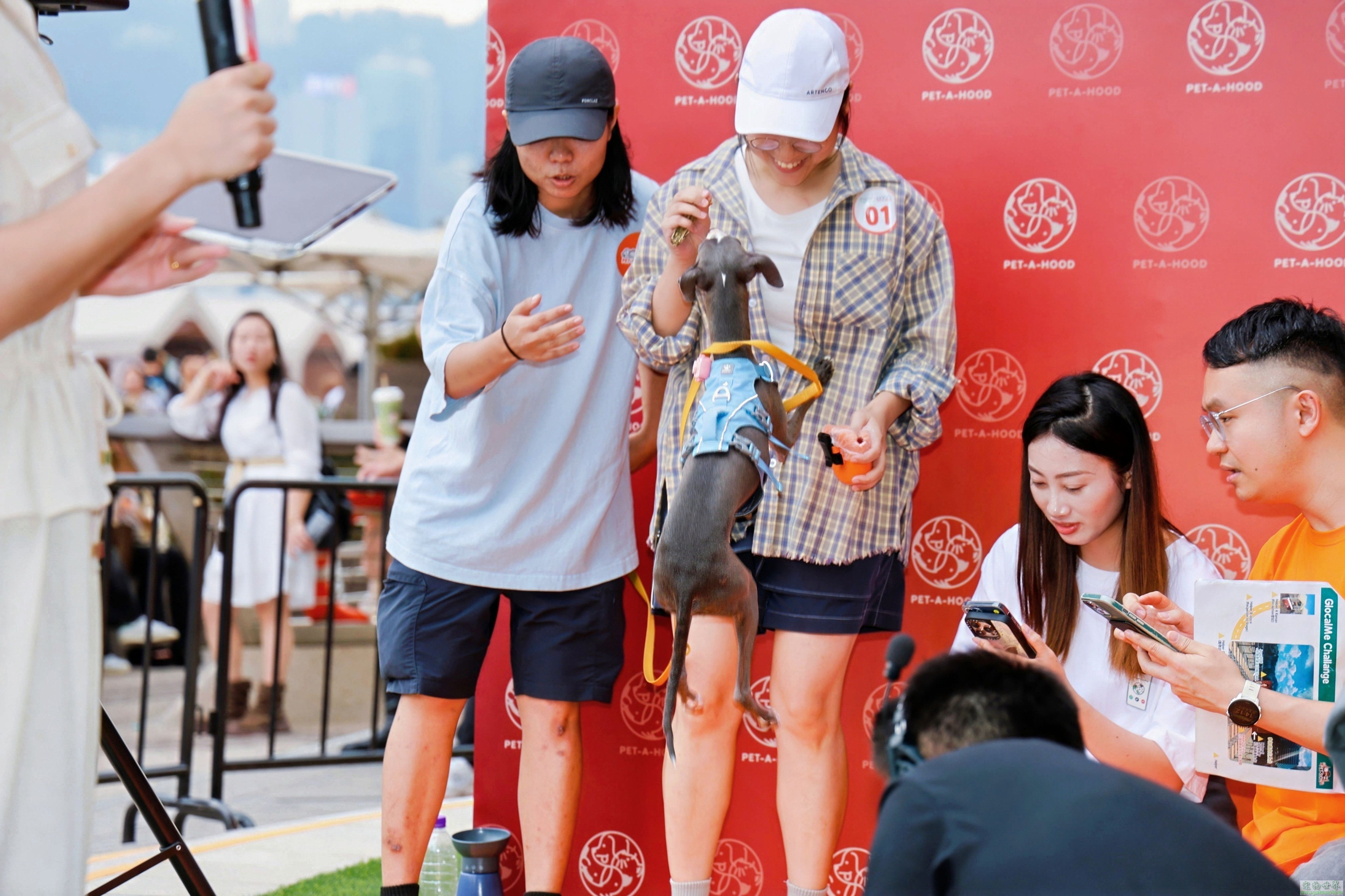 点此在新窗口浏览图片