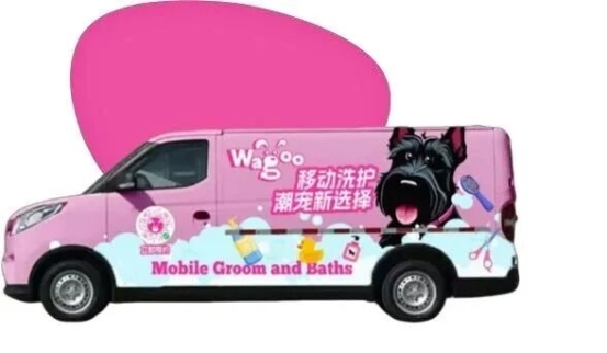 点此在新窗口浏览图片