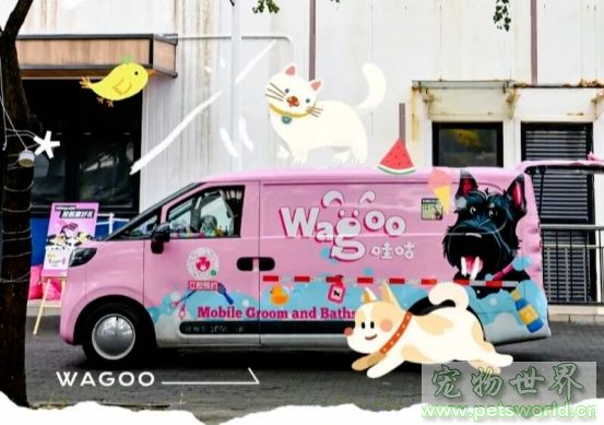 点此在新窗口浏览图片