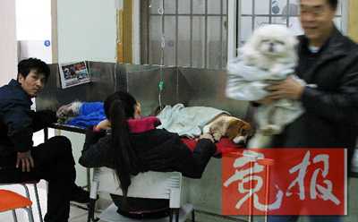 点此在新窗口浏览图片