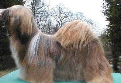 点此在新窗口浏览图片