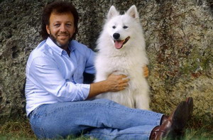 萨摩耶犬  Samoyed