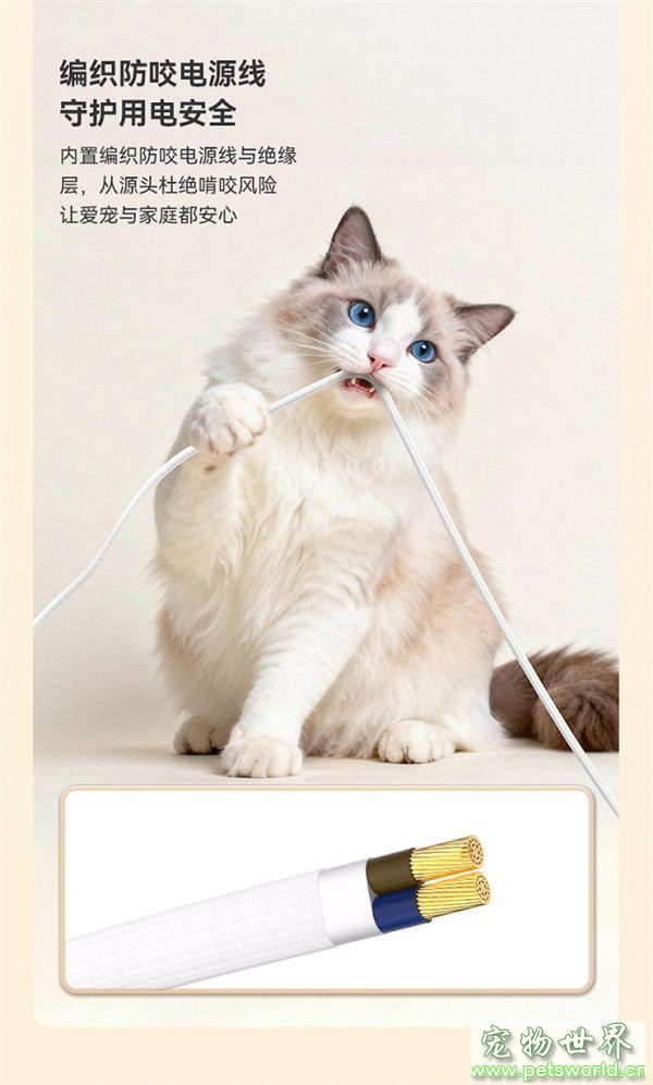 点此在新窗口浏览图片