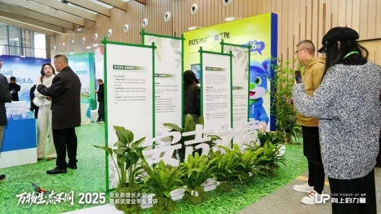 点此在新窗口浏览图片